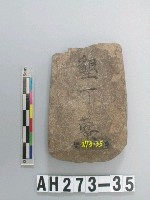 藏品(磨製石錛)的圖片